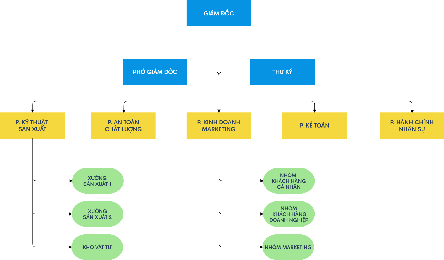 CHART OGNAIZATION